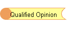 Qualified Opinion